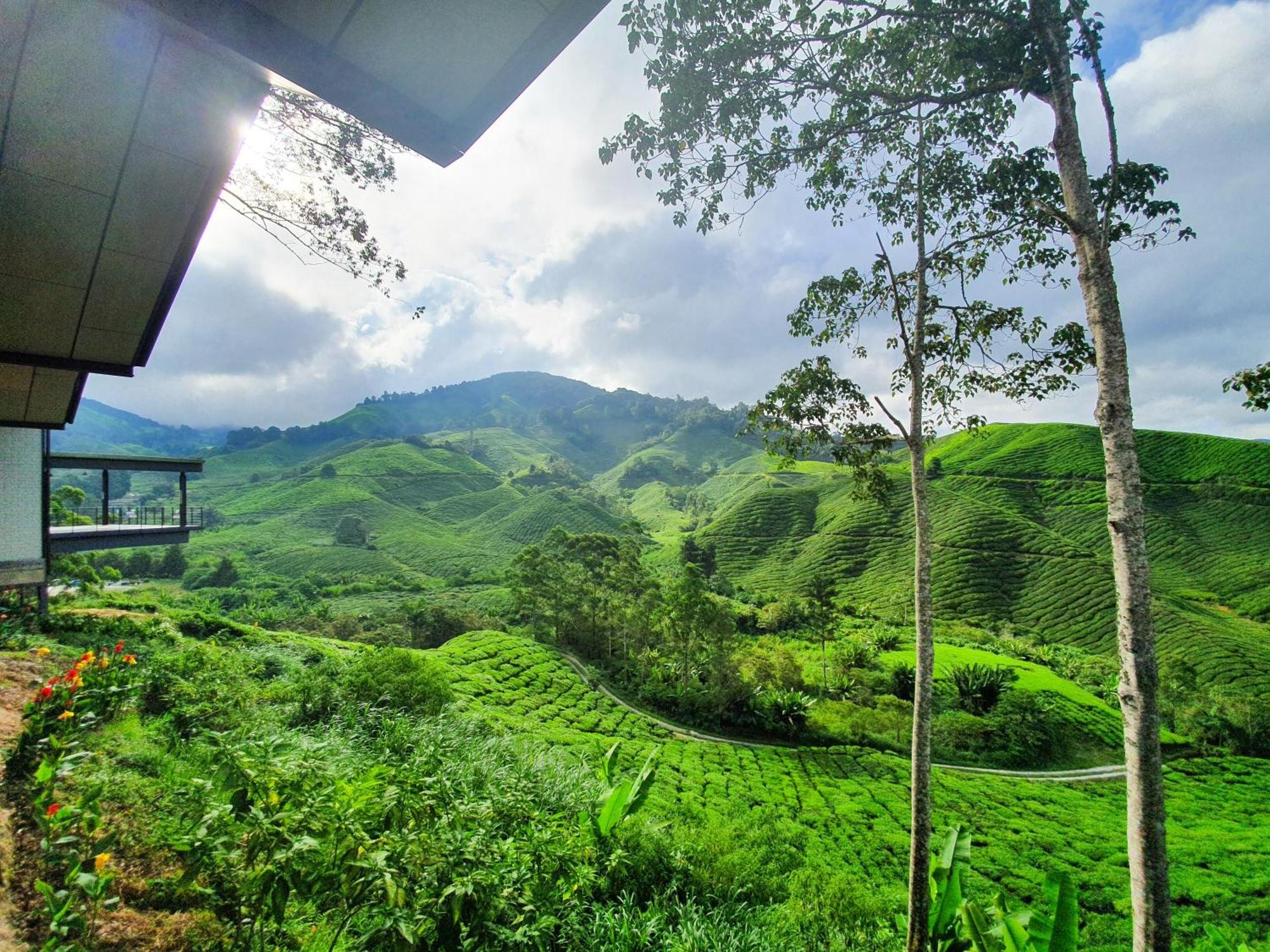 Mossy Forest Family Retreat Ii, 2-8 Pax, Cameron Highlands Exterior foto